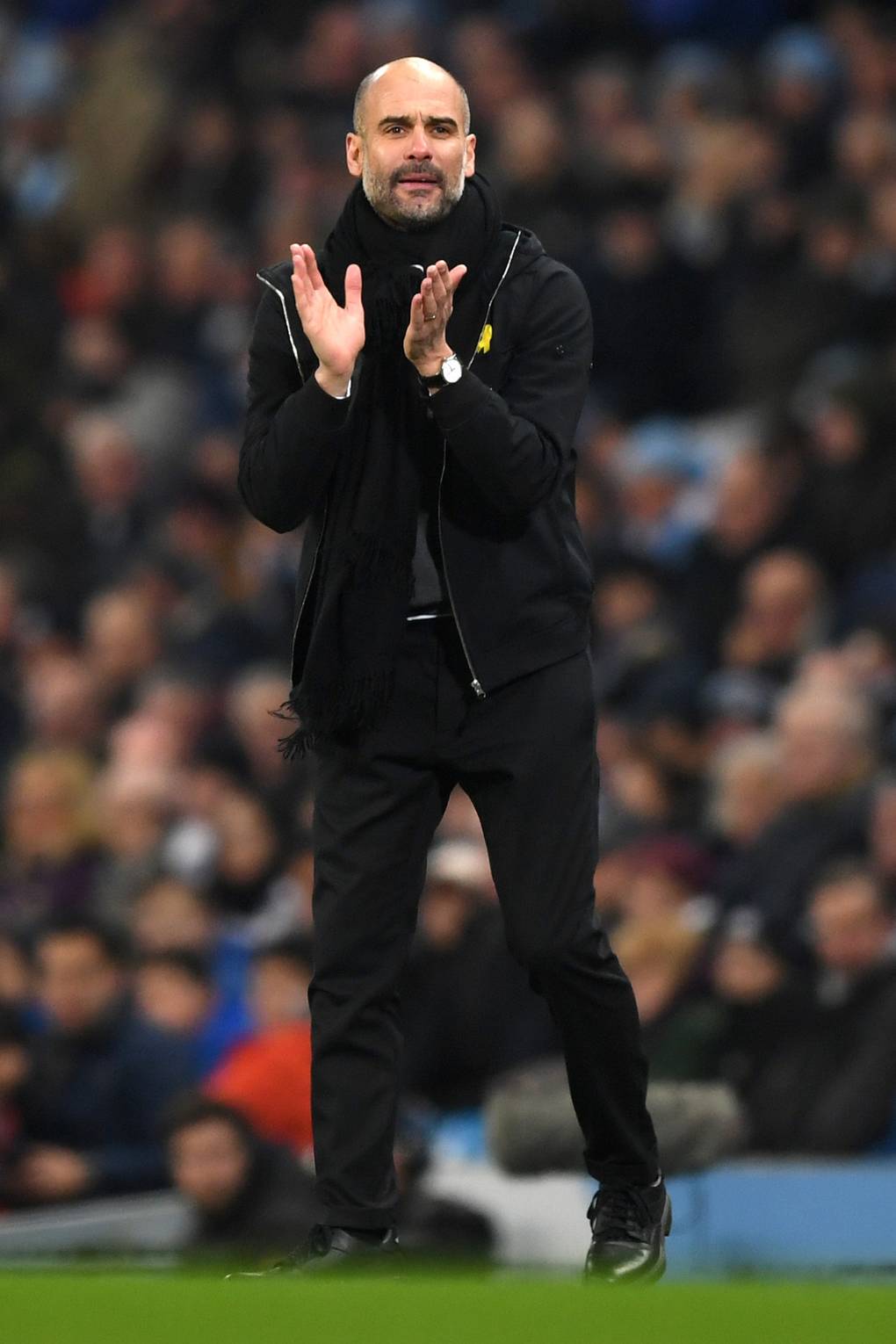 Image result for pep guardiola