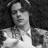 Harry Styles stars in second Gucci campaign for Gucci Cruise 2019 ...