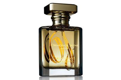 What is an absolute fragrance? We select the best men's absolute ...