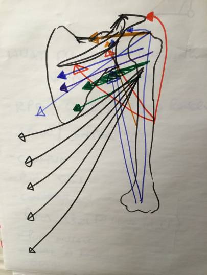 An illustration by Michael Goulden